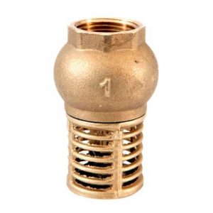 Válvula vertical con canastilla