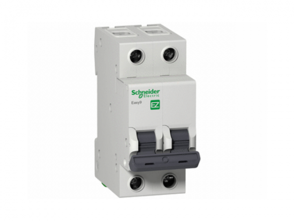 BREAKER PARA RIEL 2P 63AMP SCHNEIDER