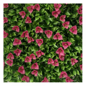 Tu ferreteria Marina e Industiral (Manta-Guayaquil-Samborondón)