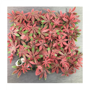 Tu ferreteria Marina e Industiral (Manta-Guayaquil-Samborondón)