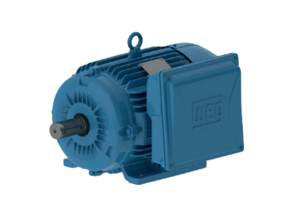 MOTOR 1HP 1750RPM MONOFASICO ABIERTO WEG W22